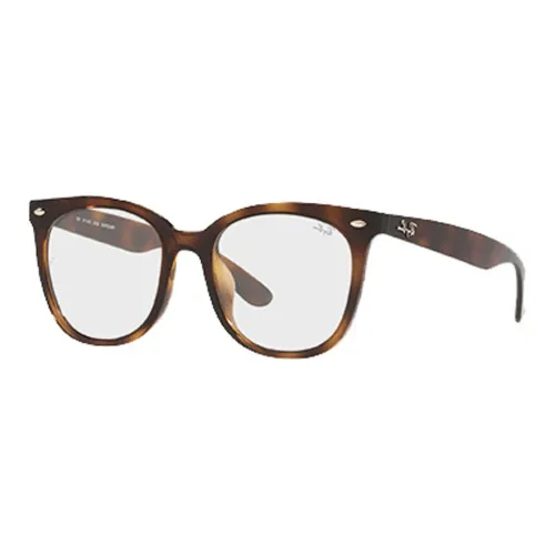 RayBan Оправы для очков Коричневый Унисекс