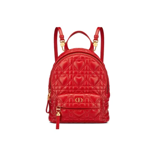 DIOR Рюкзаки Женские