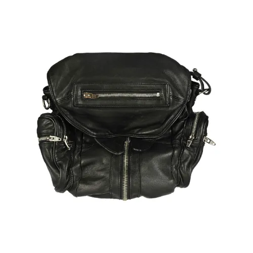 alexander wang Рюкзаки Унисекс