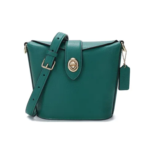COACH Addie Галька текстура Коровья кожа Сумка Картофель фри Сумка на плечо Маленькая Женская Изумрудно-зеленая