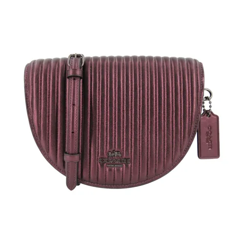 COACH Ellen Кожа Сумка через плечо Маленькая Женская Фиолетовая