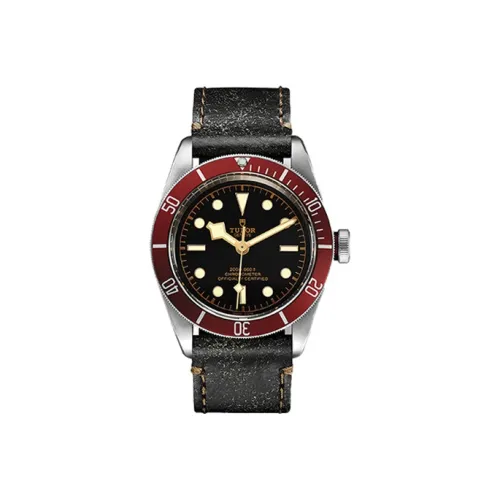 TUDOR Автоматический Механический Механизм Мужские Часы из Коллекции BLACK BAY 41 мм Черные