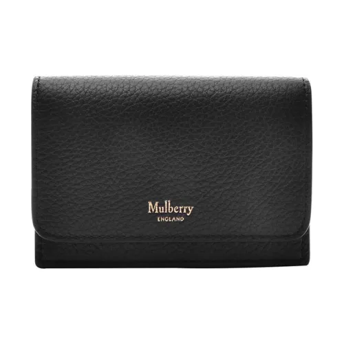 Mulberry Кошельки Женские