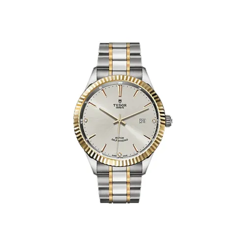 TUDOR Автоматический Механический Механизм Мужские Часы Wind Style Collection 41 мм Серебряные