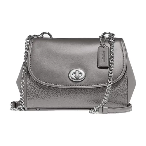 COACH Faye Коровья кожа Сумка через плечо Маленькая Женская Металлическая Серебряная