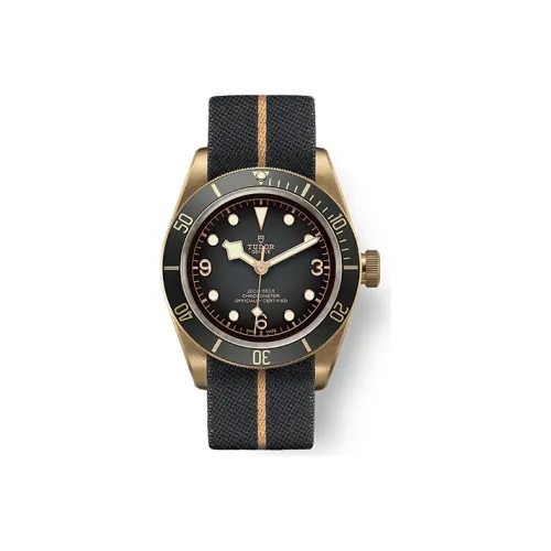 TUDOR Автоматический Механический Механизм Мужские Часы из Коллекции BLACK BAY 43 мм Серый