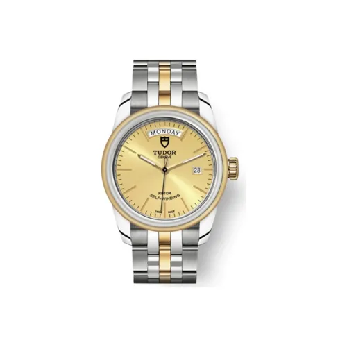 TUDOR Jun Jue Series Автоматический Механический Механизм Мужские Часы 39 мм Золотой Циферблат Стальные Часы