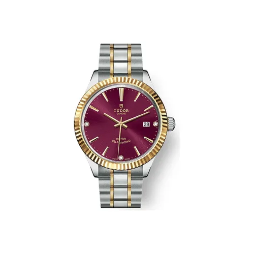 TUDOR Автоматический Механический Механизм Мужские Часы Wind Style Collection 38 мм Красные