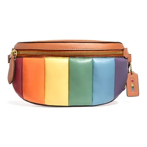 COACH Bethany Кожа Бананка Маленький Женские Радужный