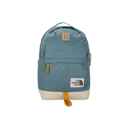 The North Face 22L Outdoor Backpack Canvas Bag Blue Green Men's