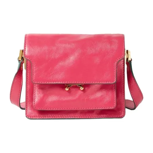 MARNI Основная часть Лакированная кожа And Телячья кожа Аккордеонная сумка Сумка на плечо Мини Женские Розово-красный