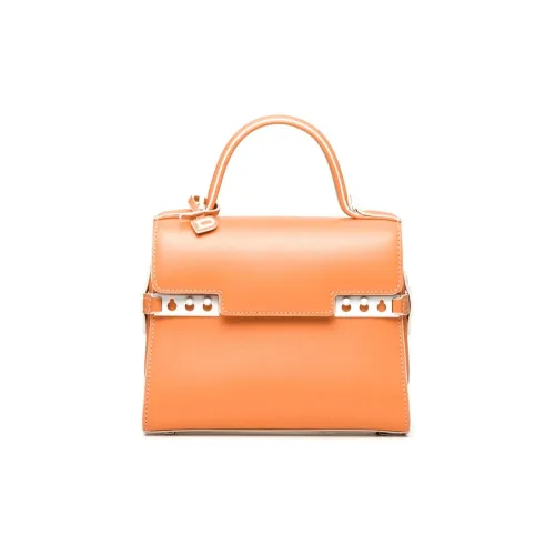 Delvaux Сумки Женские