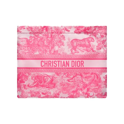 DIOR Клатчи Женские