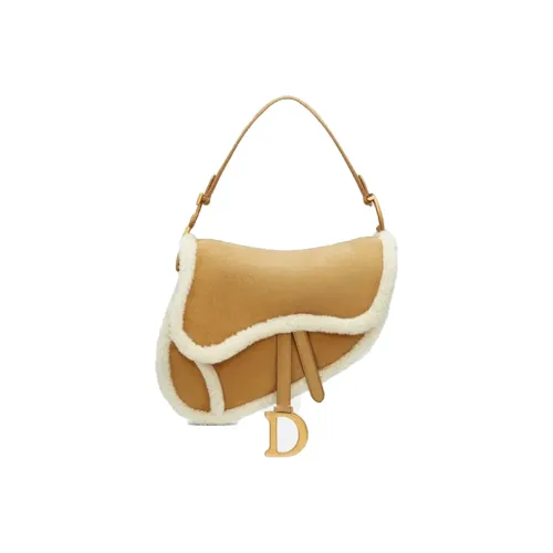 DIOR Седло Сумки через плечо Женские