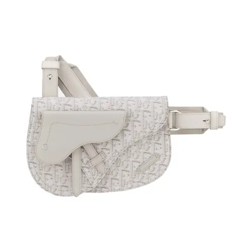 DIOR Saddle Нейлоновая ткань Saddle Сумка Слинг-сумка Сумка на пояс Сумка через плечо Маленькая Унисекс Бежевая