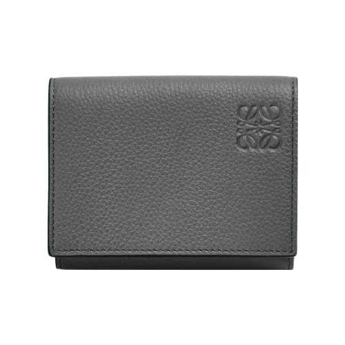 LOEWE Совместное издание Кошельки Мужской