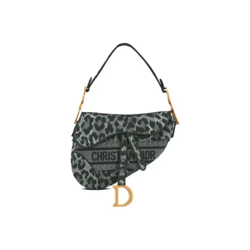 DIOR Седло Кожа Седло Сумка Сумка через плечо Женская Серый