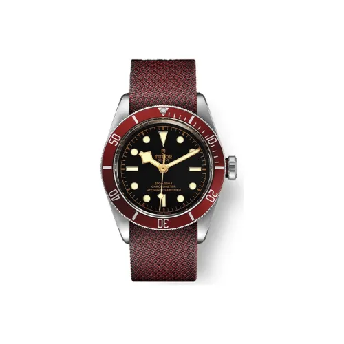 TUDOR BLACK BAY Collection Автоматический Механический Механизм Мужские Часы Часы 41 мм Черный Циферблат Стальные Часы