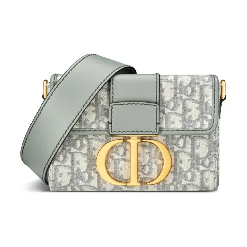 DIOR 30 Montaigne Collection Жаккард с кожаными вставками Сумка для коробок Сумка через плечо Женская Серый
