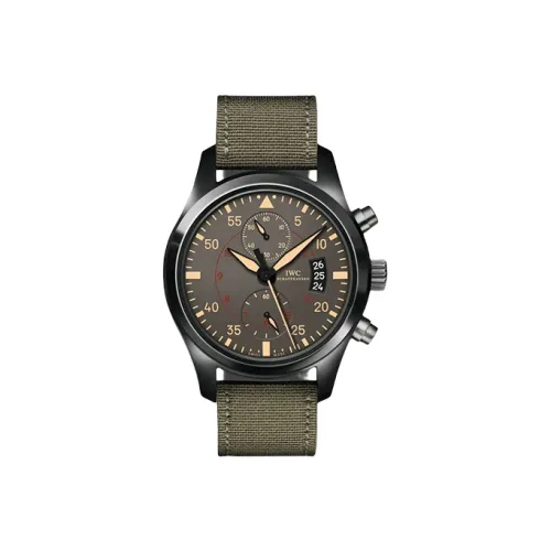 IWC Автоматический Механический Часы Мужской Pilot Collection 46 мм Серые
