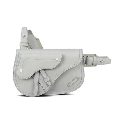 DIOR Корова Кожа Saddle Сумка Сумка через плечо Бананка Sling Сумка Мужская Серый Белый