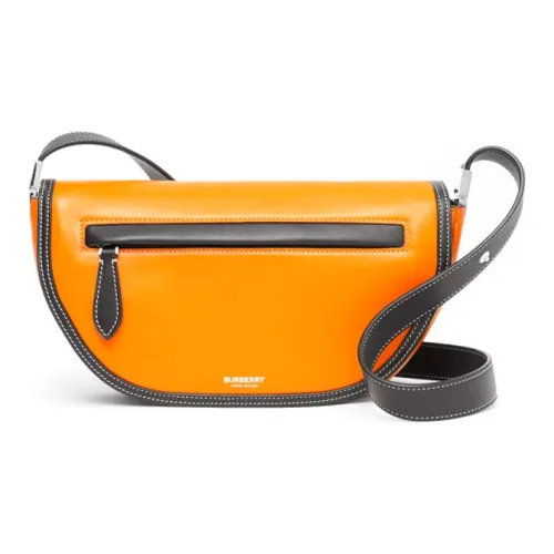 Burberry OLYMPIA Smooth Leather Bag Shoulder Bag Crossbody Small Women's Dark Orange