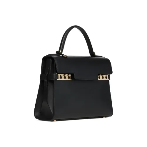 Delvaux Tempête Сумки Женские
