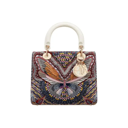 DIOR Lady Dior Женские Многоцветный