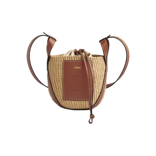 Chloe Chloé сумки Коровья кожа Сумка Маленькая Женская Коричневая