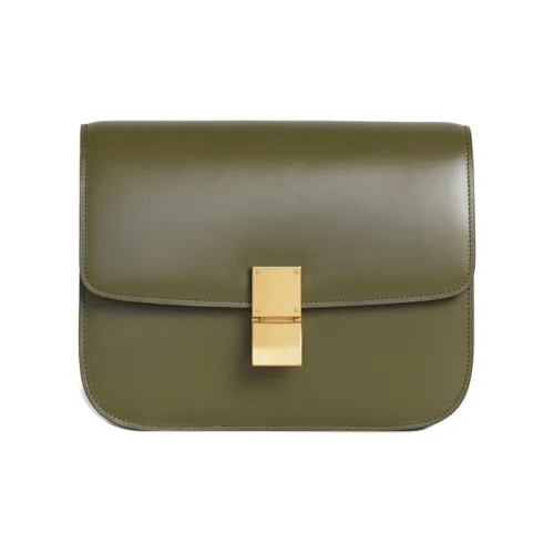 CELINE Классический Bo Полированная Коровья Кожа Сумка Квадратная Сумка Сумка через плечо Средняя Женская