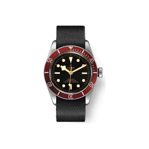 TUDOR Автоматический Механический Механизм Мужские Часы из Коллекции BLACK BAY 41 мм Черные