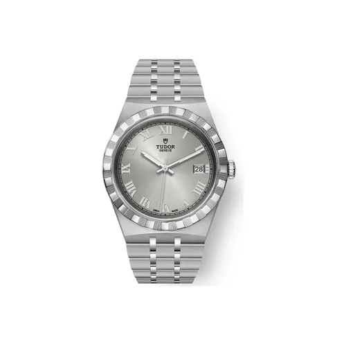 TUDOR Автоматический Механический Механизм Мужские Часы Royal Collection 38 мм Серебряные