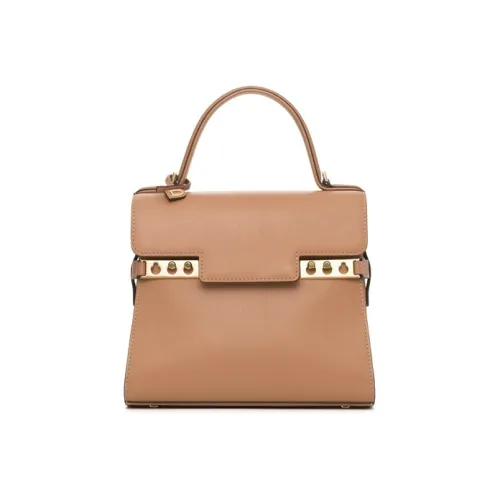 Delvaux Tempête Сумки Женские