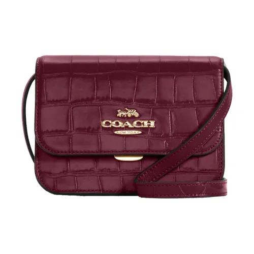 COACH Brynn Кожа Сумка через плечо Маленькая Женская Бордовая