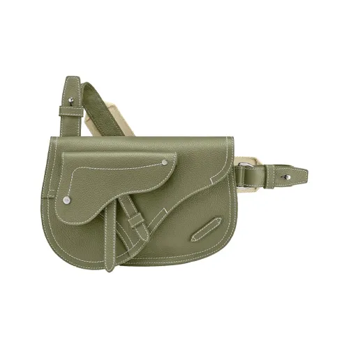 DIOR Сумка через плечо Saddle Мужская