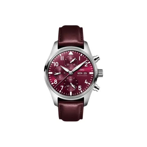IWC Автоматический Механический Часы Мужской Pilot Collection 41 мм Красные