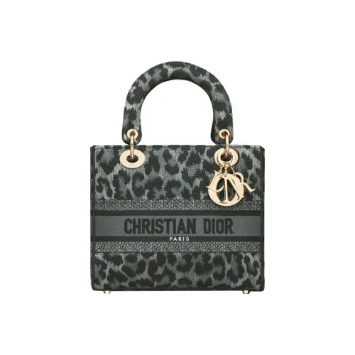 DIOR LADY D Лайт Вышивка Сумка Lady Dior Сумка Сумка через плечо Сумка через плечо Средний Женская Серый