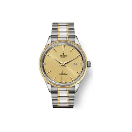 TUDOR Wind Style Collection Автоматический Механический Механизм Мужские Часы Часы 41 мм Золотой Циферблат