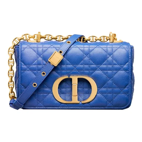 DIOR Кожа Сумка Сумка через плечо Сумка через плечо Маленькая Женская Греческий Синий Кляйн-синий