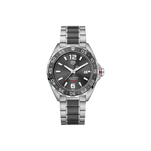 TAG HEUER Автоматический Механический Механизм Мужские Часы F1 Collection 43 мм Серый