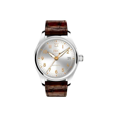 IWC Автоматический Механический Мужской Часы Pilot Collection 36 мм Серебряные