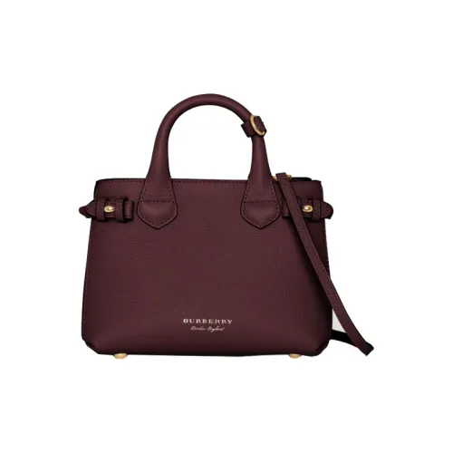 Burberry The Banner Series Сумка через плечо из коровьей кожи маленькая сумка женская цвет румяный