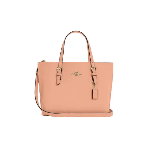 COACH Mollie Кожа Одно плечо Ручная сумка Сумка через плечо Маленькая Женская