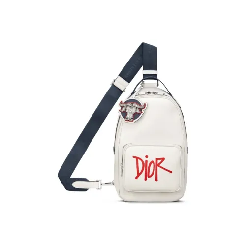 DIOR Crossbody сумки Мужские