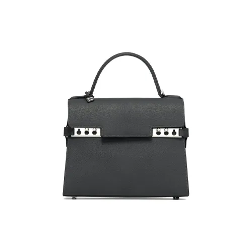 Delvaux Tempête Сумки Женские