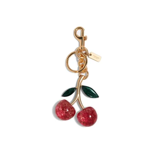 COACH Смола и Металл Сумка Аксессуар Женские Красный Золотой