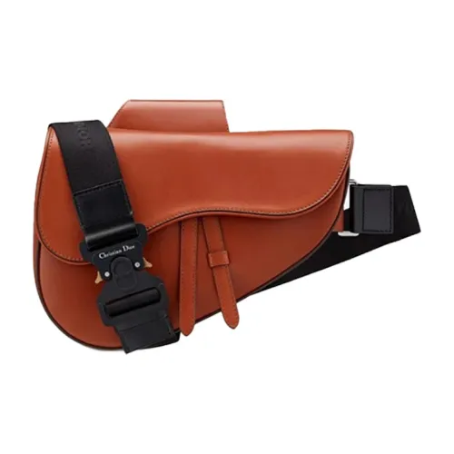 DIOR Сумка через плечо Saddle Мужская