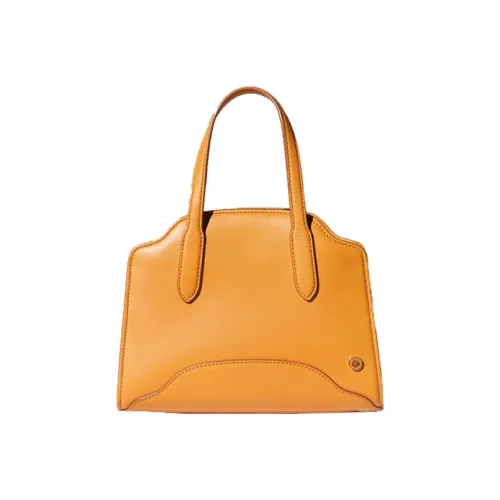 Loro Piana Sesia Коровья кожа Сумка через плечо Женская Мед Ярко-желтый