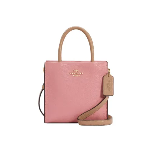 COACH Cally Кожа Тоут Сумка Сумка для покупок Гармошка Сумка Сумка через плечо Мини Сумка Женская