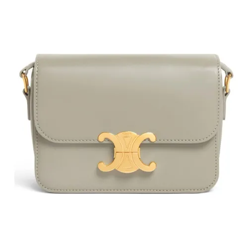 CELINE Teen Triomphe Блестящая сумка из коровьей кожи сумка через плечо женская серая зеленая